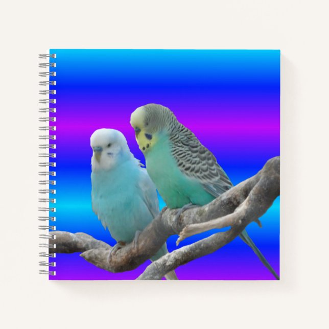 Two Cute Budgerigar Birds Notebook (Front)