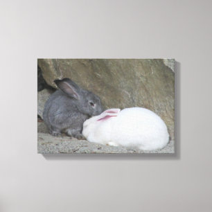 Two Cute Bunny Rabbits Canvas Print