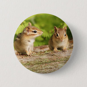 Two Cute Chipmunk Babies 2 Inch Round Button