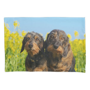 Two Cute Dachshund Dogs Dackel Photo Pillow-Cover Pillowcase