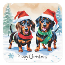 Two Cute Dachshund Puppies Pet Dog Puppy Christmas