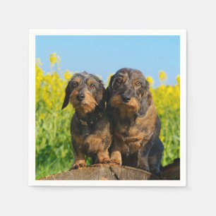 Two Cute Dachshunds Dogs Dackel Friends Pet Photo Napkin