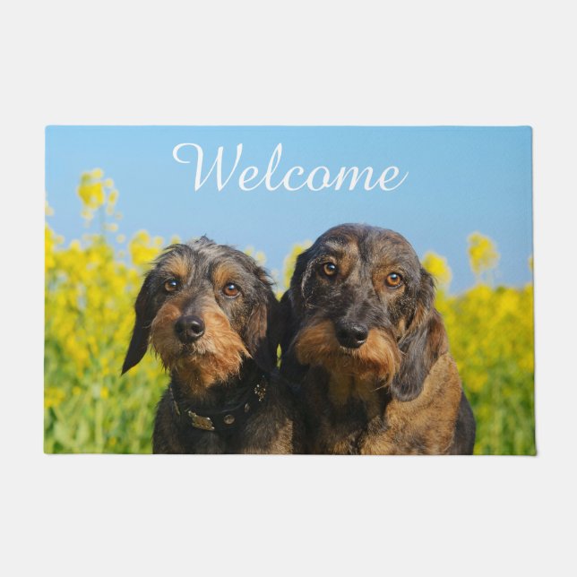 Two Cute Dachshunds Dogs Dackel Friends - Welcome Doormat (Front)