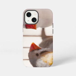 Two Cute Finch Birds in Cage iPhone 13 Mini Case
