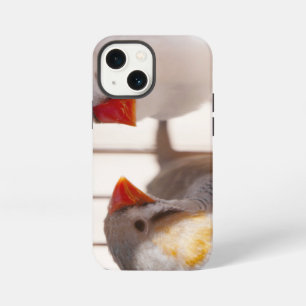 Two Cute Finch Birds in Cage iPhone 13 Mini Case