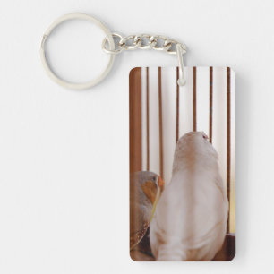 Two Cute Finch Birds in Cage Keychain
