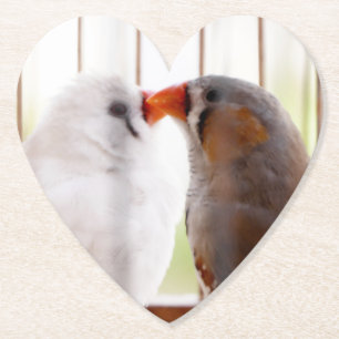 Two Cute Finch Birds in Cage Paper Coaster