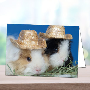 Two Cute Guinea Pigs Greeting Card