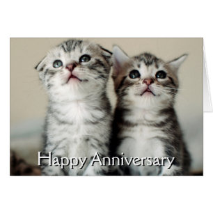 Two Cute Kittens
