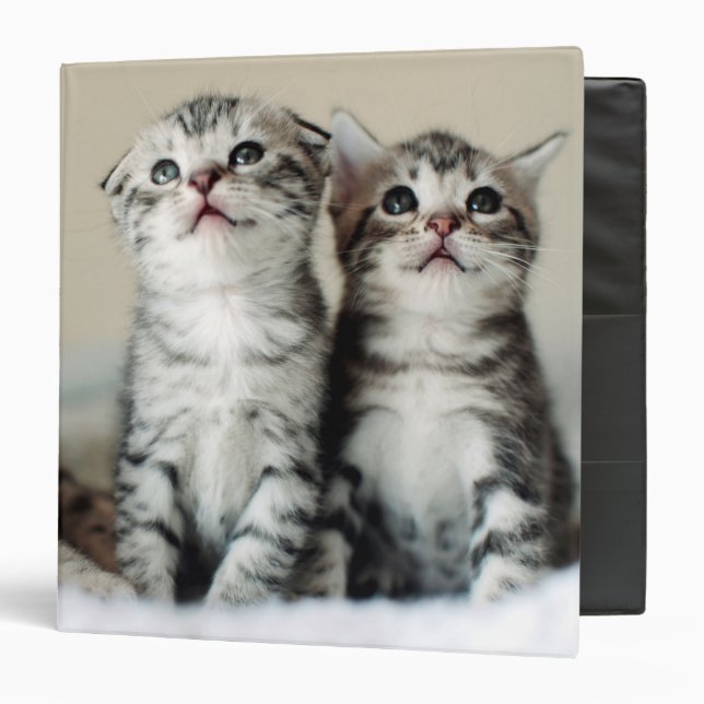 Two Cute Kittens Binder (Front/Inside)