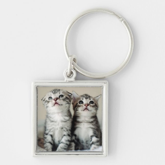 Two Cute Kittens Keychain (Front)