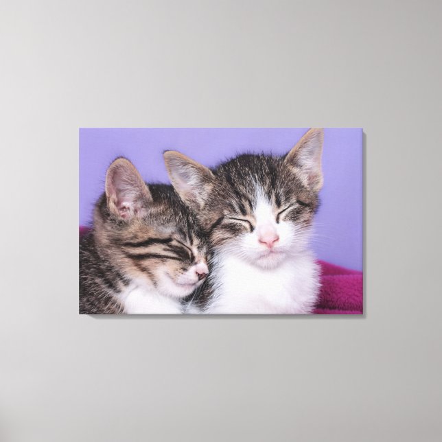 Two Cute Kittens Napping Canvas Print (Front)