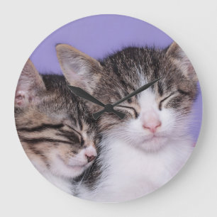 Two Cute Kittens Napping Large Clock