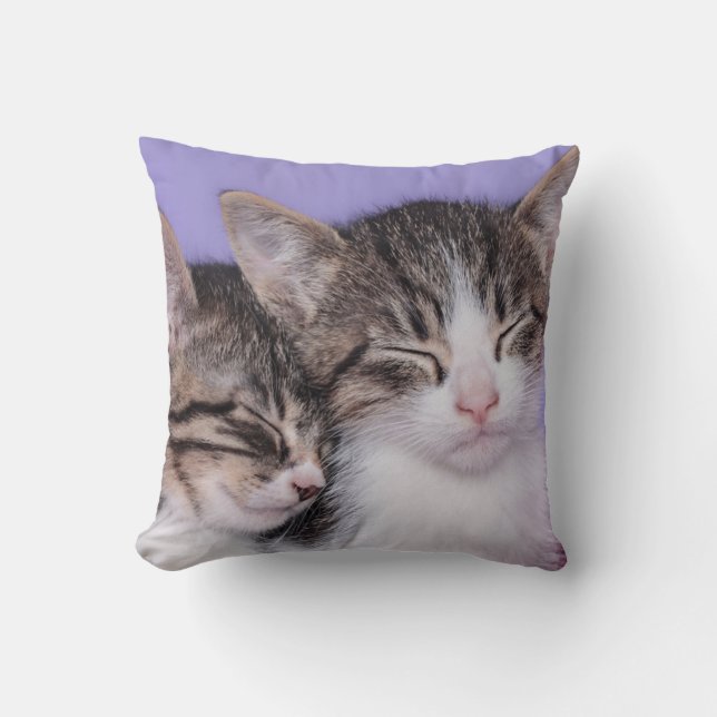 Two Cute Kittens Napping Throw Pillow (Front)