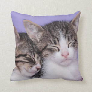 Two Cute Kittens Napping Throw Pillow