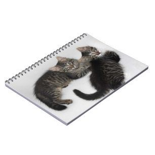 Two Cute Kittens Notebook