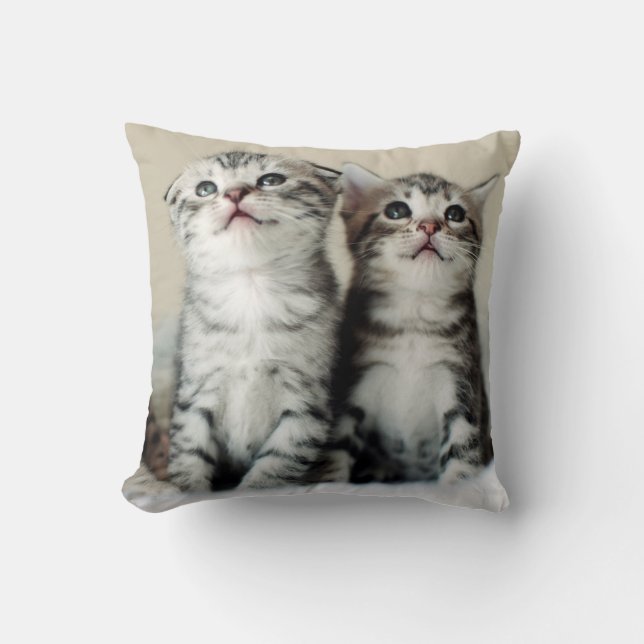 Two Cute Kittens Throw Pillow (Front)