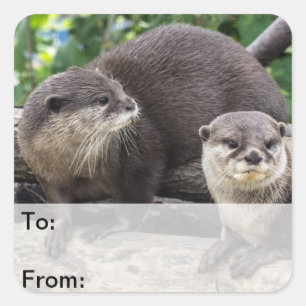 Two Cute Otters Otter Square Sticker