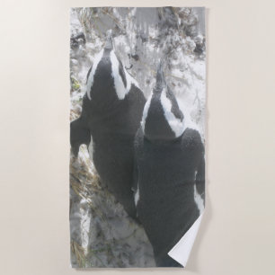 Two Cute Penguins Beach Towel