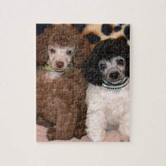 Two Cute Poodle Toy Poodle Puppies Jigsaw Puzzle
