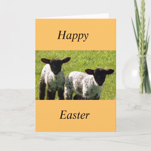 Two Cute Spring Lambs Easter Card (Front)