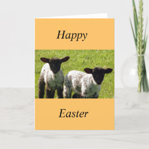 Two Cute Spring Lambs Easter Card