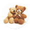 Two Cute Teddy Bears Design