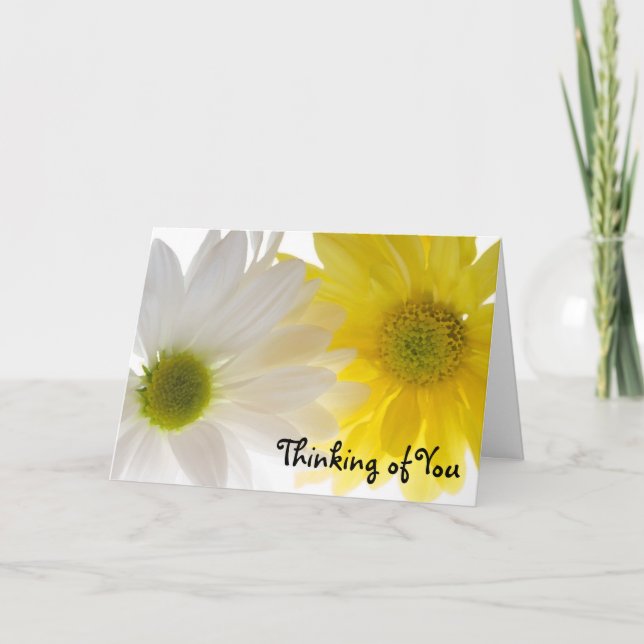 Two Daisies Thinking of You  Card (Front)