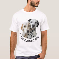 Two Dalmation Dogs