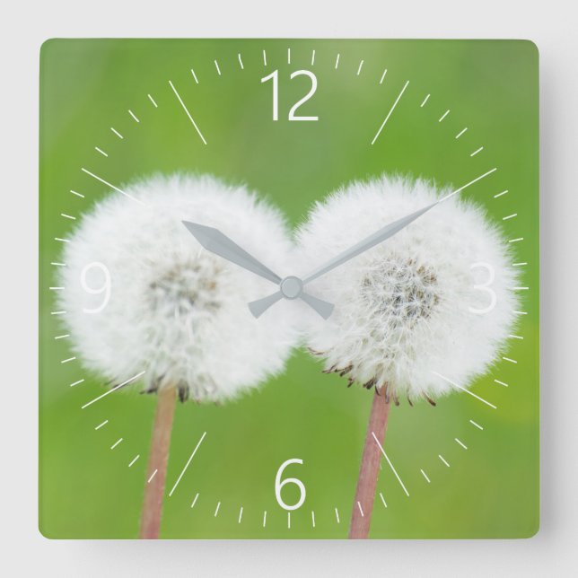 Two dandelions square wall clock (Front)