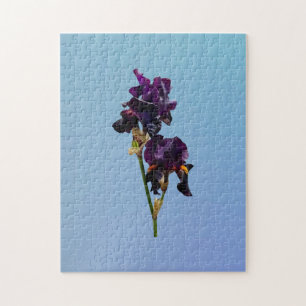 Two Dark Purple Irises Jigsaw Puzzle