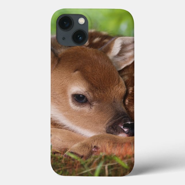 Two day old White-tailed Deer baby, Kentucky. Case-Mate iPhone Case (Back)