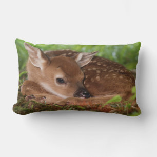 Two day old White-tailed Deer baby, Kentucky. Lumbar Pillow