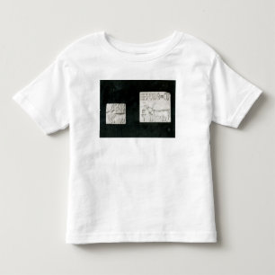 Two decorated seals depicting a zebu and a toddler t-shirt