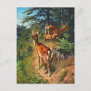 Two Deer And Cute Fawn In The Forest Postcard