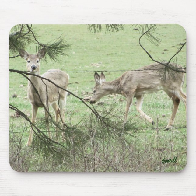 Two Deer and pine Mouse Pad (Front)