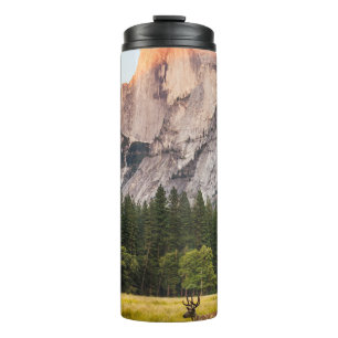 TWO DEER IN FRONT OF HALF DOME IN YOSEMITE VALLEY  THERMAL TUMBLER