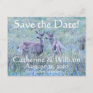 Two Deer Save the Date Postcard