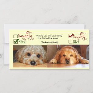 Two dog Christmas card photo template