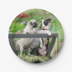 Two dogs a pug puppy and Boston Terrier in a cart Paper Plate