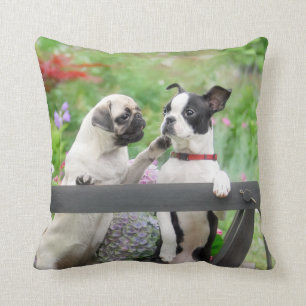 Two dogs a pug puppy and Boston Terrier in a cart Throw Pillow