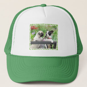Two dogs a pug puppy and Boston Terrier together - Trucker Hat