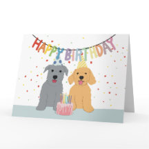Two dogs birthday party