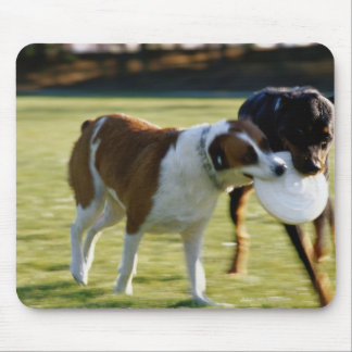 Two Dogs Fighting over Plastic Disc Mouse Pad