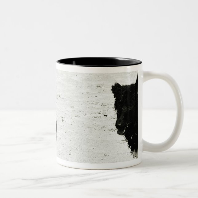 Two dogs playing on a beach. Two-Tone coffee mug (Right)