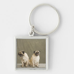 Two dogs posing on a table keychain