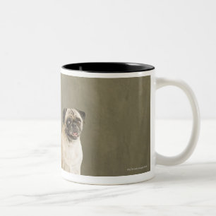 Two dogs posing on a table Two-Tone coffee mug