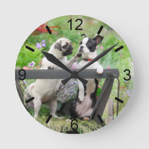 Two dogs pug puppy and Boston Terrier dial-plate Round Clock