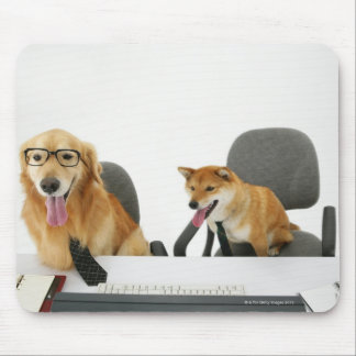 Two dogs wearing tie and glasses ,sitting on 2 mouse pad