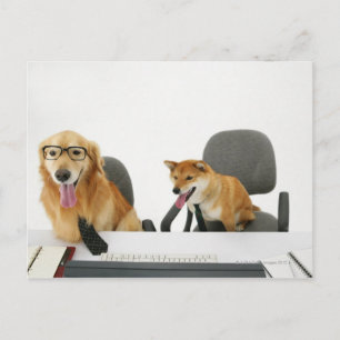 Two dogs wearing tie and glasses ,sitting on 2 postcard